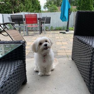 Meet your Posher, Grace